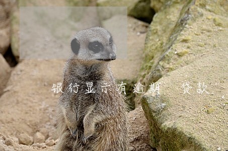 银行显示有逾期 贷款 银行显示有逾期 贷款